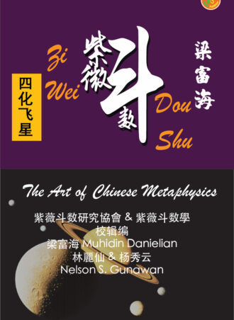 Zi Wei Dou Shu The Art of Chinese Metaphysics